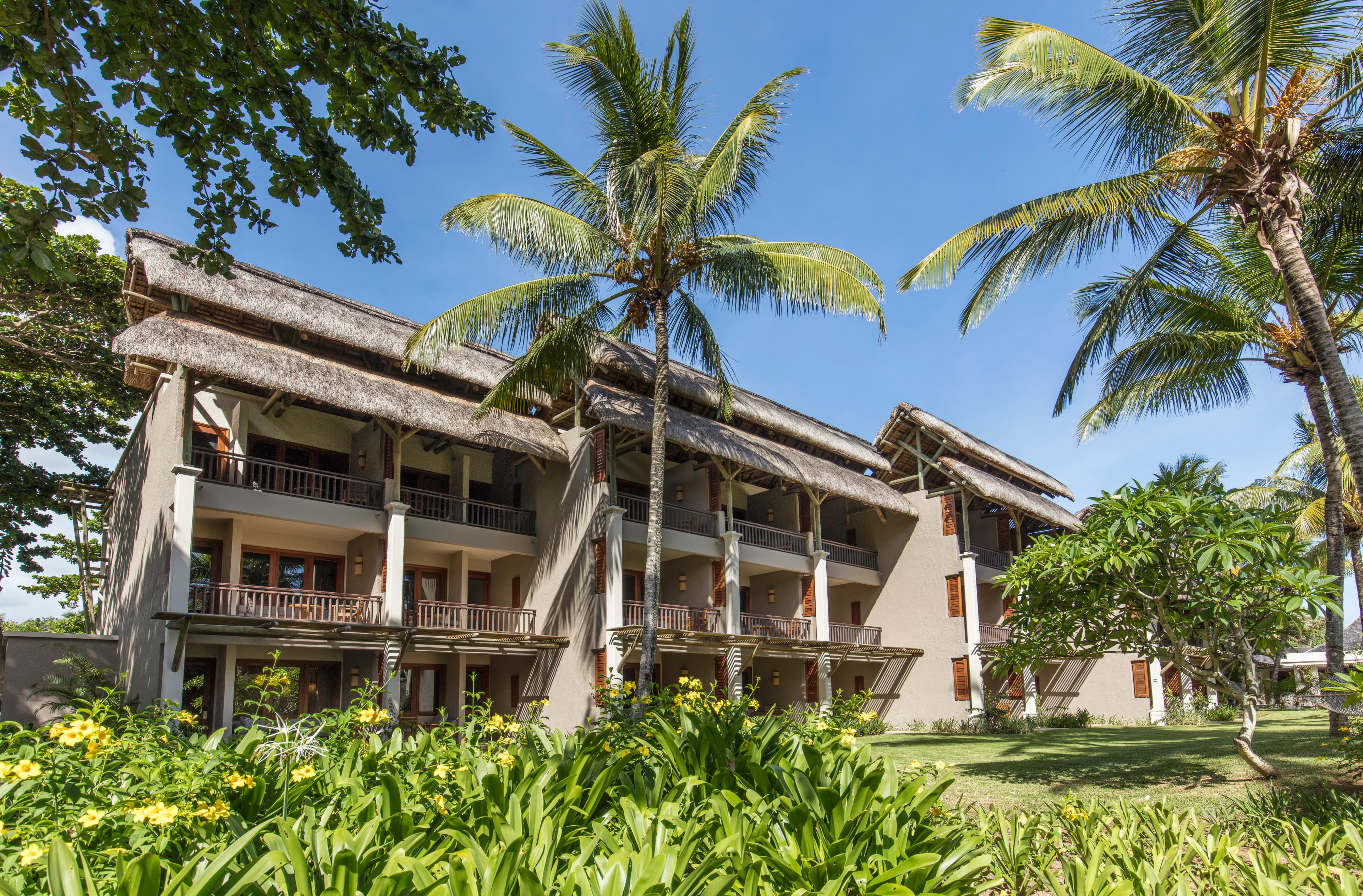 Luxury Mauritius resort surrounded by tropical palms